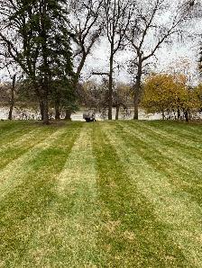 Landscaping/Lawn maintenance Help needed