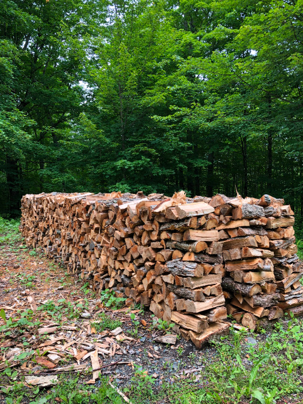 BOIS DE CHAUFFAGE A VENDRE ERABLE ET MERISIER SES DU BOIS FRANC - JAI ...