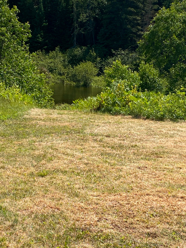 Terrain bord de leau Lac des plages 1497 Route 323 Lac des