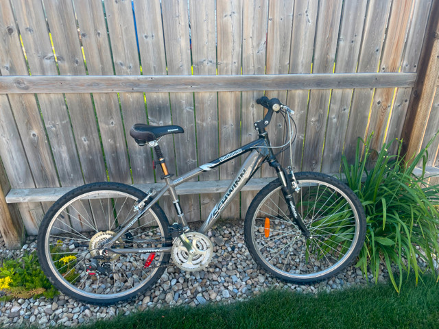 used mens bicycle