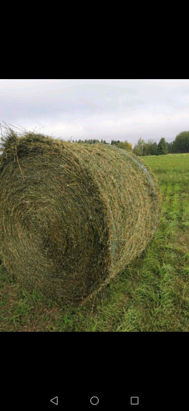 2022-first-and-second-cut-hay-for-sale-livestock-okz-ca