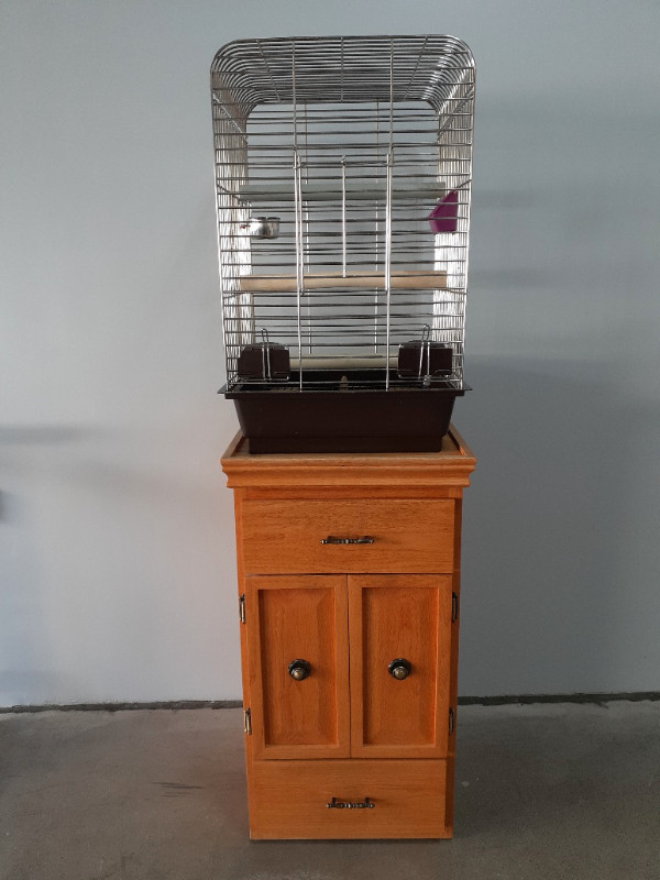 LARGE BIRD CAGE WITH CUSTOM MADE STAND Cage is 19 square amp 30 high Custom made solid wood