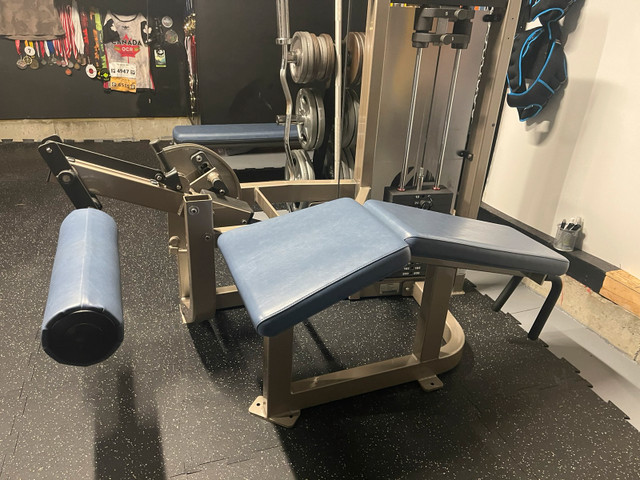 Life Fitness Laying Hamstring Curl Machine - Life Fitness Hammer ...