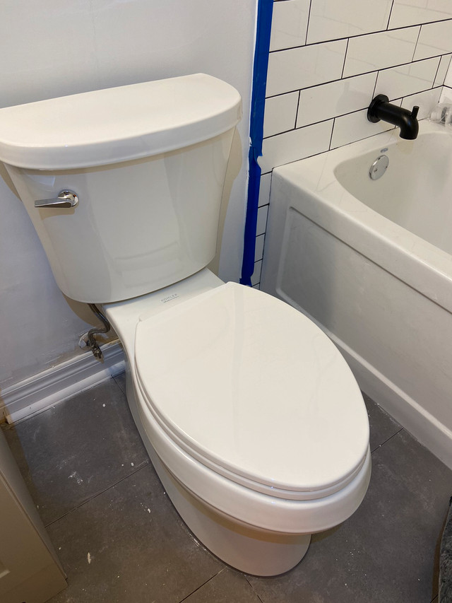 Toilet Replacements Toilet Install Fix Replace Services in the