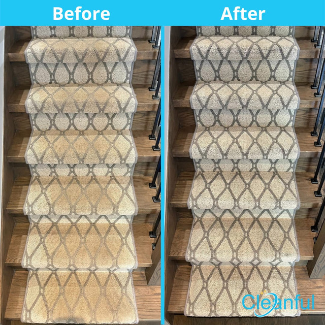 Carpet upholstery cleaning and more, City of Toronto Get rid of germs