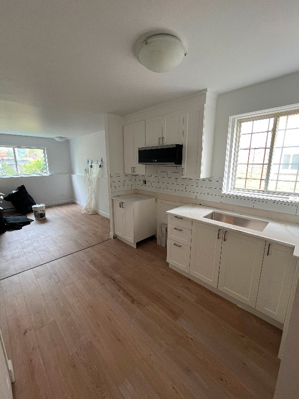 Logement 3 12 completement renover Disponible au 1er Juillet 2023