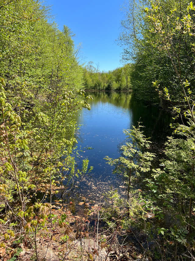 Terre a Vendre Belle terre RG8 a Saint Calixte avec chemin prive a 10