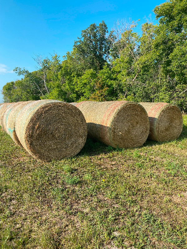 Hay for sale, Winnipeg Round hard core bales of alfalfa and