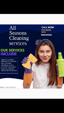 Cleaning job
