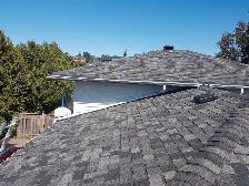 Professional Roofing and Renovations