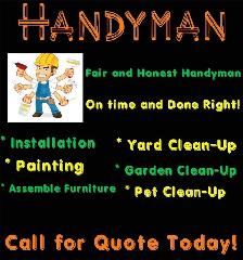 Do you need your yard cleaned up