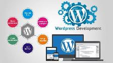Professional WordPress Website - Affordable Cost