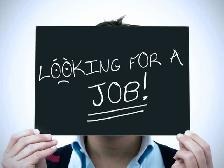 Experienced Worker Seeking Employment in Various Fields