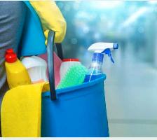 Cleaner/Housekeeper