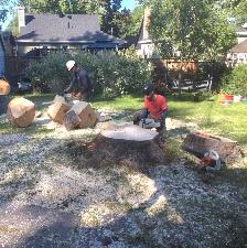 Offre d'emploi: Manoeuvre en Arboriculture à Québec