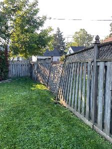 Fence services