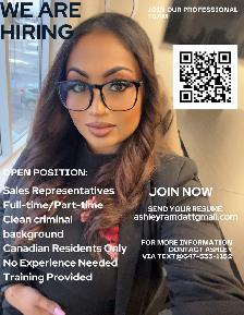 Now Hiring Work from home sales position