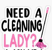 Looking for Professional Cleaning Lady