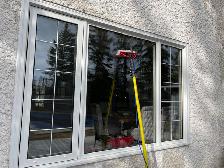NO SIN $200   PER DAY Window Cleaning Job