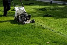 Lawn mowing in Taché area
