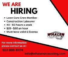 Lawn Care Crew Member / Construction Labourer