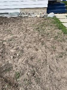 Need help with yard work $20/hr