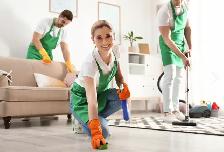 Driver/Residential Cleaner Wanted $30/hr