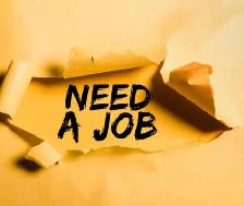 Need A Job