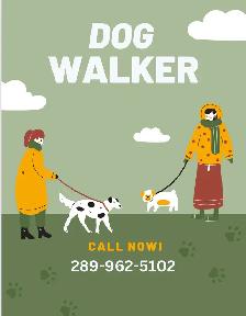 Dog walking and sitting services