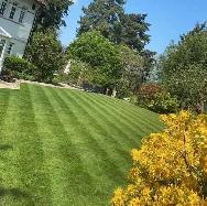 Lawn Movers And Garden Care