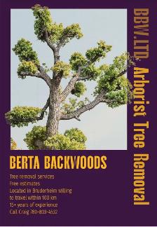 Berta backwoods tree removal