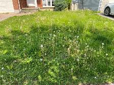 Lawn Care Needed, $250 Monthly for 5 Properties, London ON