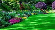 transform Your Garden into a Paradise