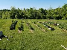 Organic orchard qualified help needed