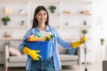 Cleaner and housekeeper