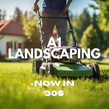 Mowing front lawn and backyard, trimming the lawn edges. 30$