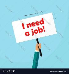 I am looking for a job