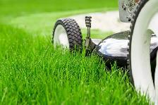 Lawn care / L'entretien des pelouses services
