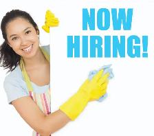 HIRING PROFESSIONAL CLEANER WITH CAR AND EXPERIENCE