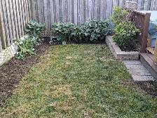Offering our landscaping services 416-995-3898