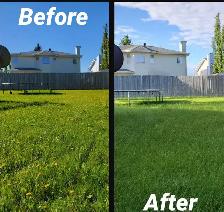 Lawn maintenance, driveway cleaners & painters
