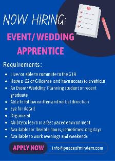 Looking for: Event/ Wedding Apprentice/ help