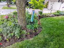 10  YEARS LANDSCAPING/LAWN MAINTENANCE