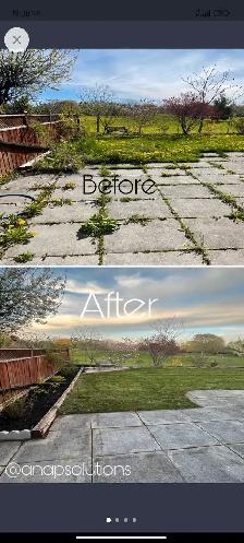 Landscaping / yard cleaning/ painting/ labour work