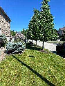 Landscaper with experience minimum 3 years