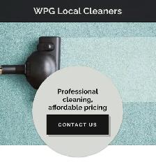 Cleaner/housekeeper ($20-25/hour   TIPS)