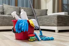 Cleaner Job