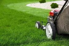 Professional Lawn Mowing and Yard Grass Cutting Services