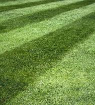 Grass cutting services