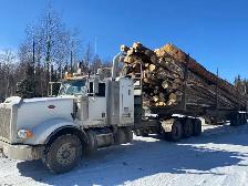 Log truck driver